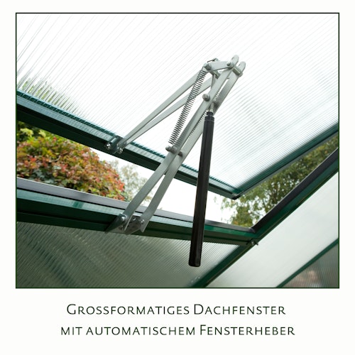 KGT Gewächshaus Orchidee Typ IV