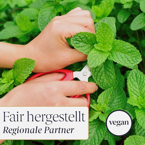 Liebenstein Bio Mentholkristalle für die Sauna (100g)