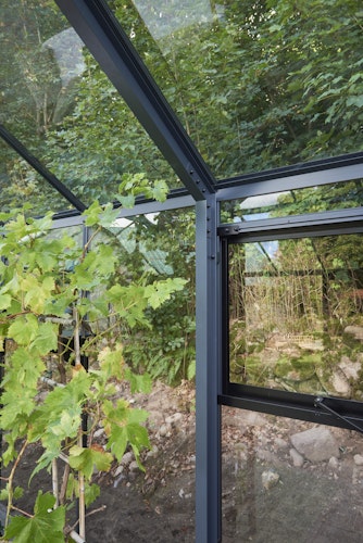 Juliana Gewächshaus Grand Oase anthrazit - 3 mm Sicherheitsglas - 25,6 m² inkl. gratis Fundamentrahmen im Wert von 849 €