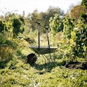 Vorschaubild Fiskars Ergonomic Spatengabel 1070679