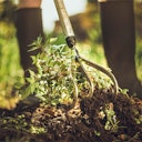 Vorschaubild Fiskars Xact Grubber mit 3 Zinken 150mm 1027040