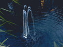 Vorschaubild Oase Wasserspiel Water Starlet