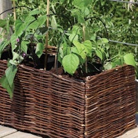 Noor Hochbeet Weide inkl. Einlagetasche