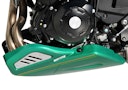 Vorschaubild BODYSTYLE Sportsline Bugspoiler ABS Kunststoff grün für KAWASAKI Z650 RS 
