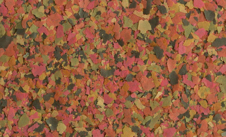 Tetra TetraMin Flocken