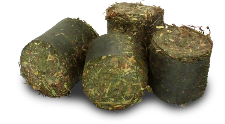 JR FARM Grainless Health Vital-Blocks 300g Kleintiersnack