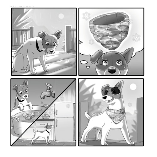 all for paws (afp) Chill Out Kühlbandana