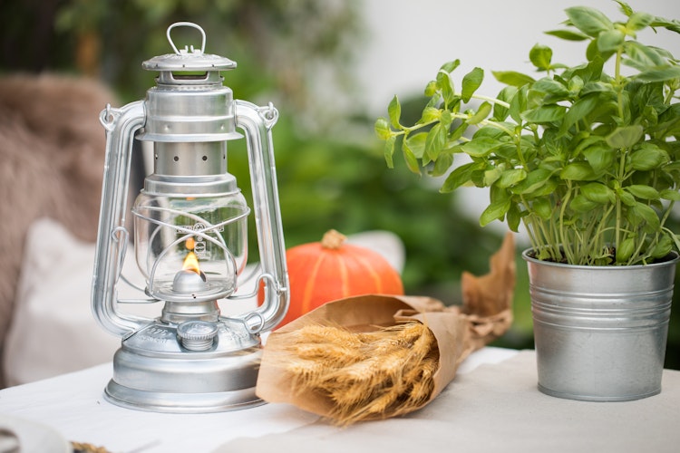 Feuerhand Sturmlaterne Baby Special 276