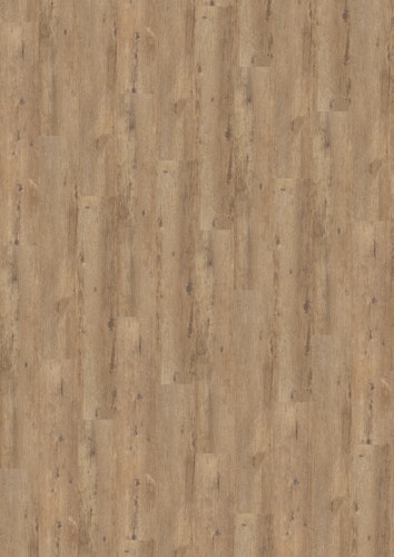 KWG Trend Comfort Alte Birne Designboden Solidtec 123x22,8 cm