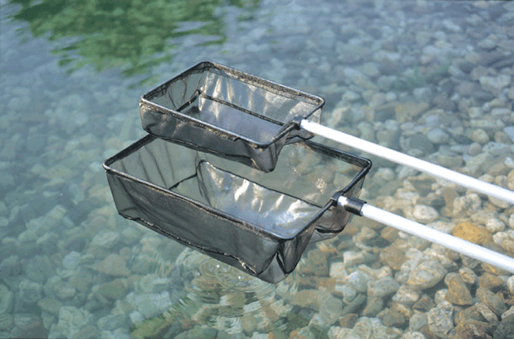 Oase Algenkescher groß