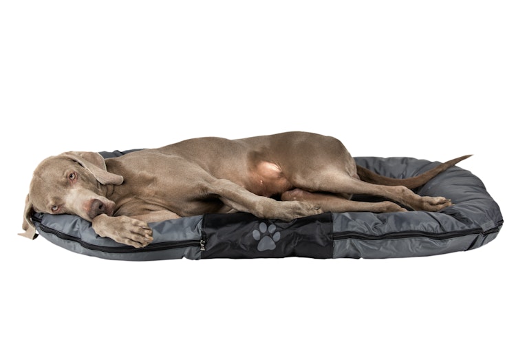 NOBBY Kissen Classic RENO