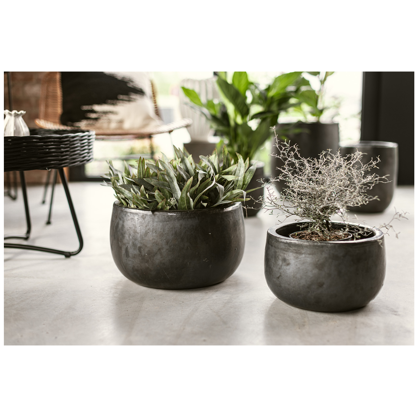 Vosteen Design Blumentopf /  Pflanzgefäß Terrakotta schwarz ø 30 cm x H 18 cm, 37 cm x H 22 cm
