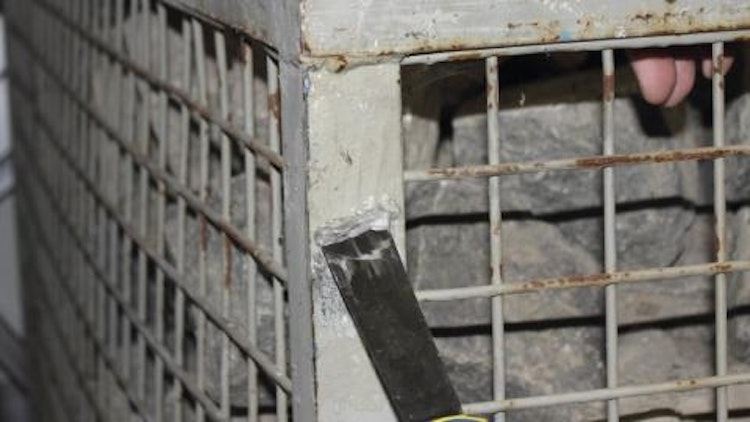 beko SPEED-EX - Der Abbeizer -