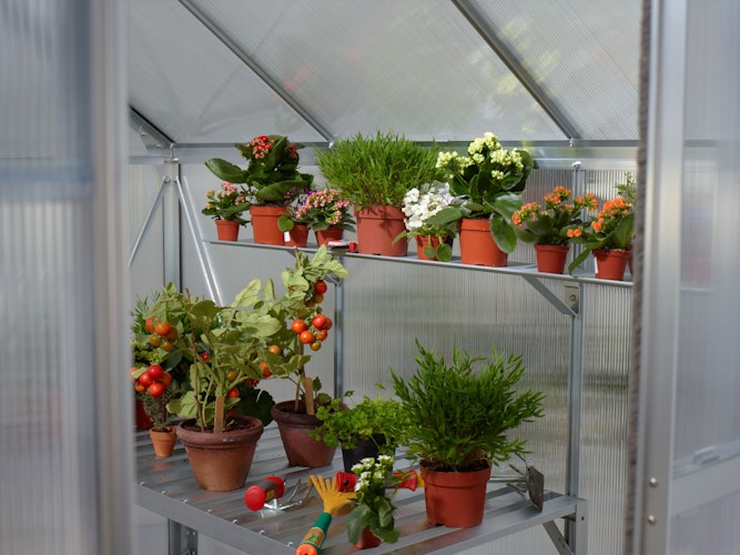 Vitavia Aluminium-Wandregal inkl. Befestigungsmaterial und Stützwinkel