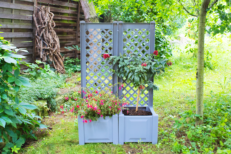 KHW Pflanzkasten klein mit Spalier 43 cm - 2er Set