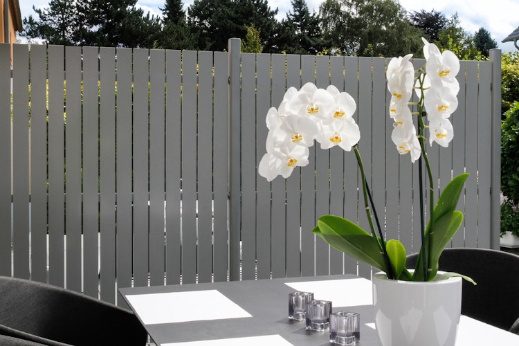 TraumGarten Squadra Doppeltor auf Maß