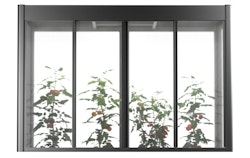 Biohort Gewächshausaufsatz Florentina für Hochbeet/Belvedere 2x1 & 2x0,5