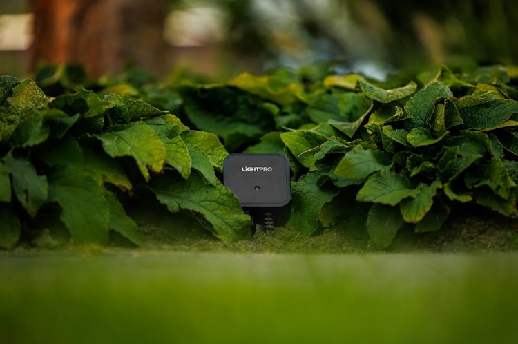 Lightpro Switch Smart (WLAN)