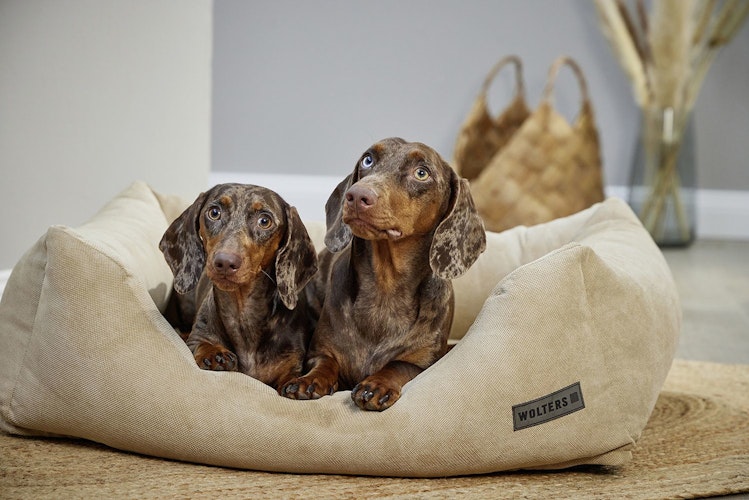 Wolters Dream-Well Heaven dunkelgrau Hundebett