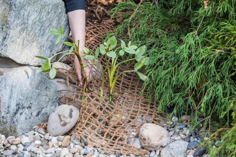 Anpflanzhilfe / Böschungsmatte 1 x 5m (TZ191-00)