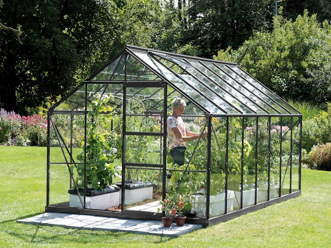 Vitavia Gewächshaus Merkur 11500 inkl. 2 Dachfenstern - 11,5 m²