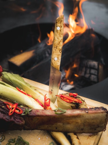 DICK VIVUM Messerset 4-teilig