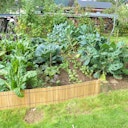 Vorschaubild BambusBASIS Filigrane Beetumrandung