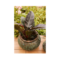 Vosteen Design Blumentopf / Pflanzgefäß Terrakotta grün 2er Set ø 23 cm x H 16 cm, 40 cm x H 27 cm