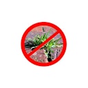 Vorschaubild Noor Unkrautblocker Premium 130 gr/m² 0,9 x 10m