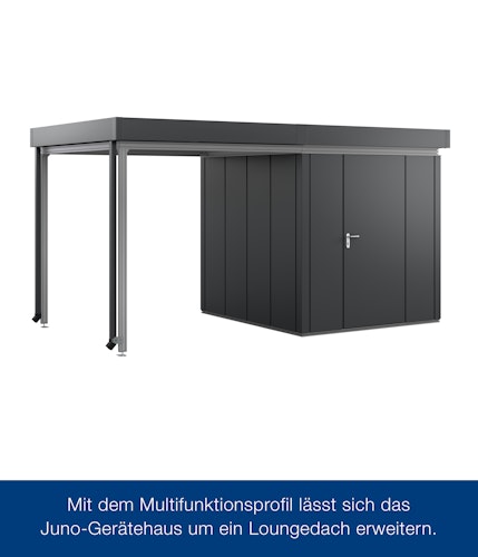 Hörmann Multifunktionsprofil für Gerätehaus Juno mit Flachdach