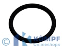 Vorschaubild Oase O-Ring Viton 42 x 5 SH50 (26143 bis 2018 neu 73486)