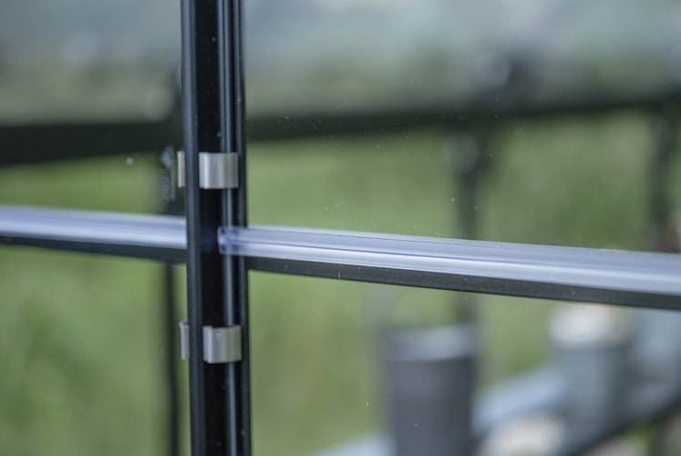 Halls Glas clips - G-Clips, á 20 Stück / 50 Stück