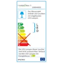 Vorschaubild Gardenforma Wasserspiel-Findling Red Cloud Iris