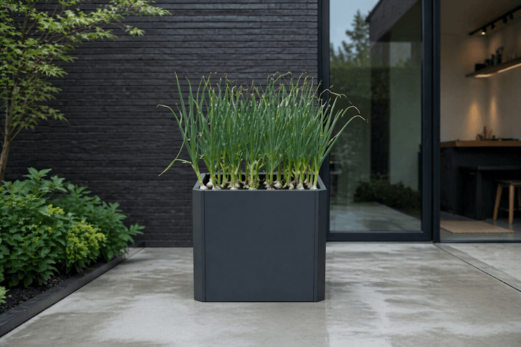 Premium Hochbeet aus Stahl anthrazit 80 x 80 x 75 cm