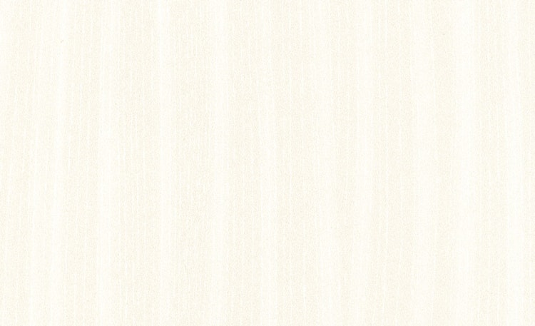 HANDMUSTER MeisterWerke Dekorpaneele MeisterPaneele. bocado DP 250 Silberesche 330