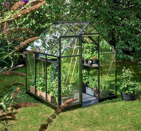 Halls Gewächshaus Qube - 3,9 m² / 5,1 m² / 6,4 m²