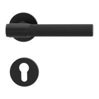 Griffwerk VAYA 136 ARIS fast2fix Fast2Fix Rosetten rund Profilzylinder Graphitschwarz