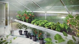 KGT Pflanzwanne für GewächshäuserZubehörbild