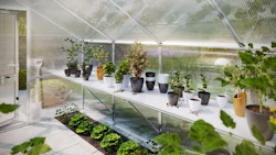 KGT Tischgestell für Gewächshäuser