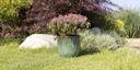Vorschaubild Plant Pot Valio