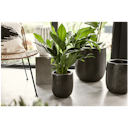 Vorschaubild Plant Pot Nilas schwarz