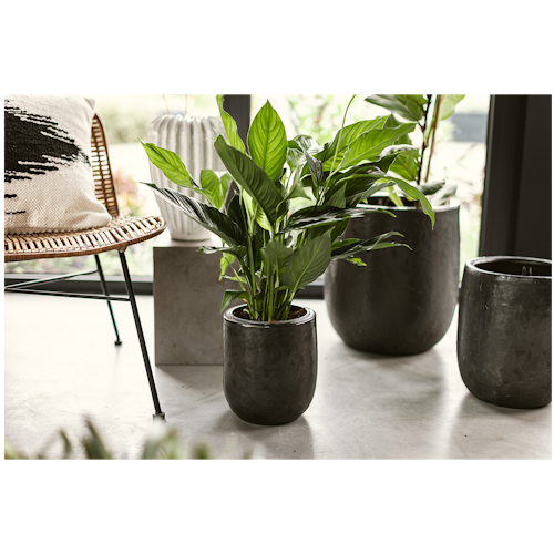 Plant Pot Nilas schwarz