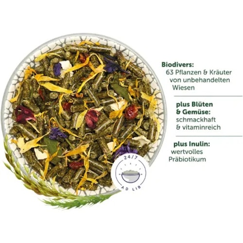 Bunny DeguTraum basic Kleintierfutter