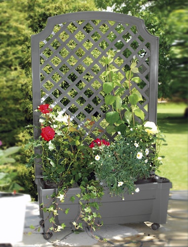 KHW Calypso Pflanzkasten auf Rollen mit Bewässerungssystem + Spalier