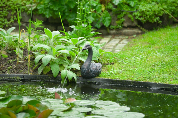 Ubbink Wasserspeier Schwan