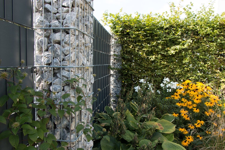 dz Gabionensäule RUBIN 270 x 270 mm - Verschieden Höhen