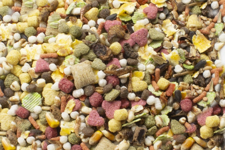 JR FARM Ratten-Schmaus Kleintierfutter