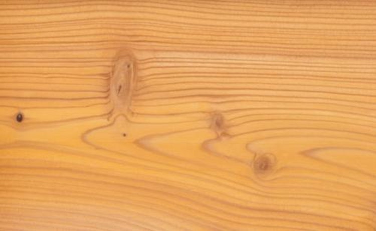 OSMO Sichtblende Juel A Lärche - geschlossen 113x185 cm