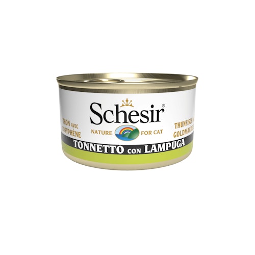 Schesir Jelly Dose 85 Gramm Katzennassfutter