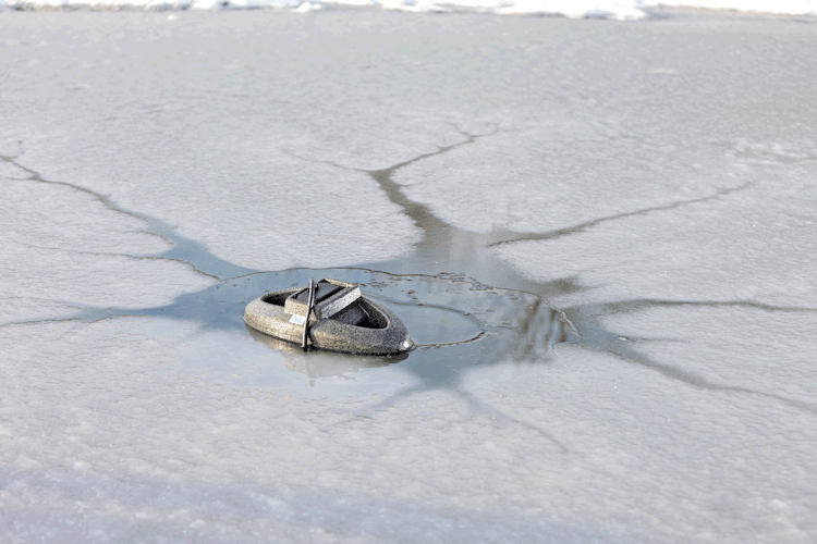 Oase IceFree Thermo 330